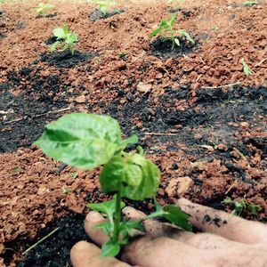 Meet your Posher, Mindy